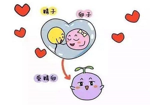 10個人做試管嬰兒幾個能成功？多大年齡都可以做嗎？