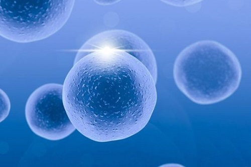 2021年36歲和37歲做試管嬰兒成功率有什么區(qū)別？