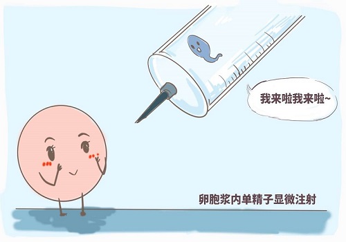 2021上海哪些醫(yī)院可以做三代試管嬰兒？