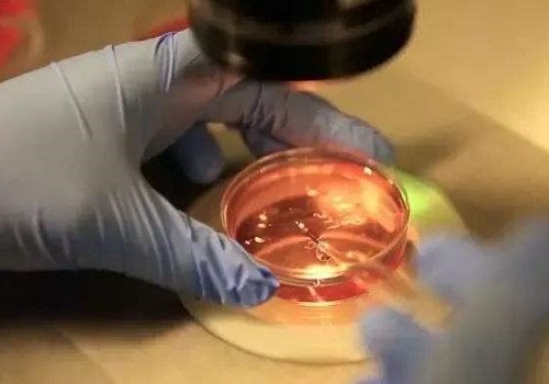 2022南通第三代試管嬰兒多少錢？