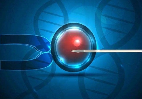 2022單身可以做試管嬰兒嗎？