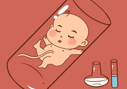 做試管嬰兒移植術要多少錢