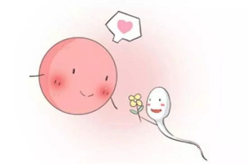 試管嬰兒和普通孩子的有什么區別